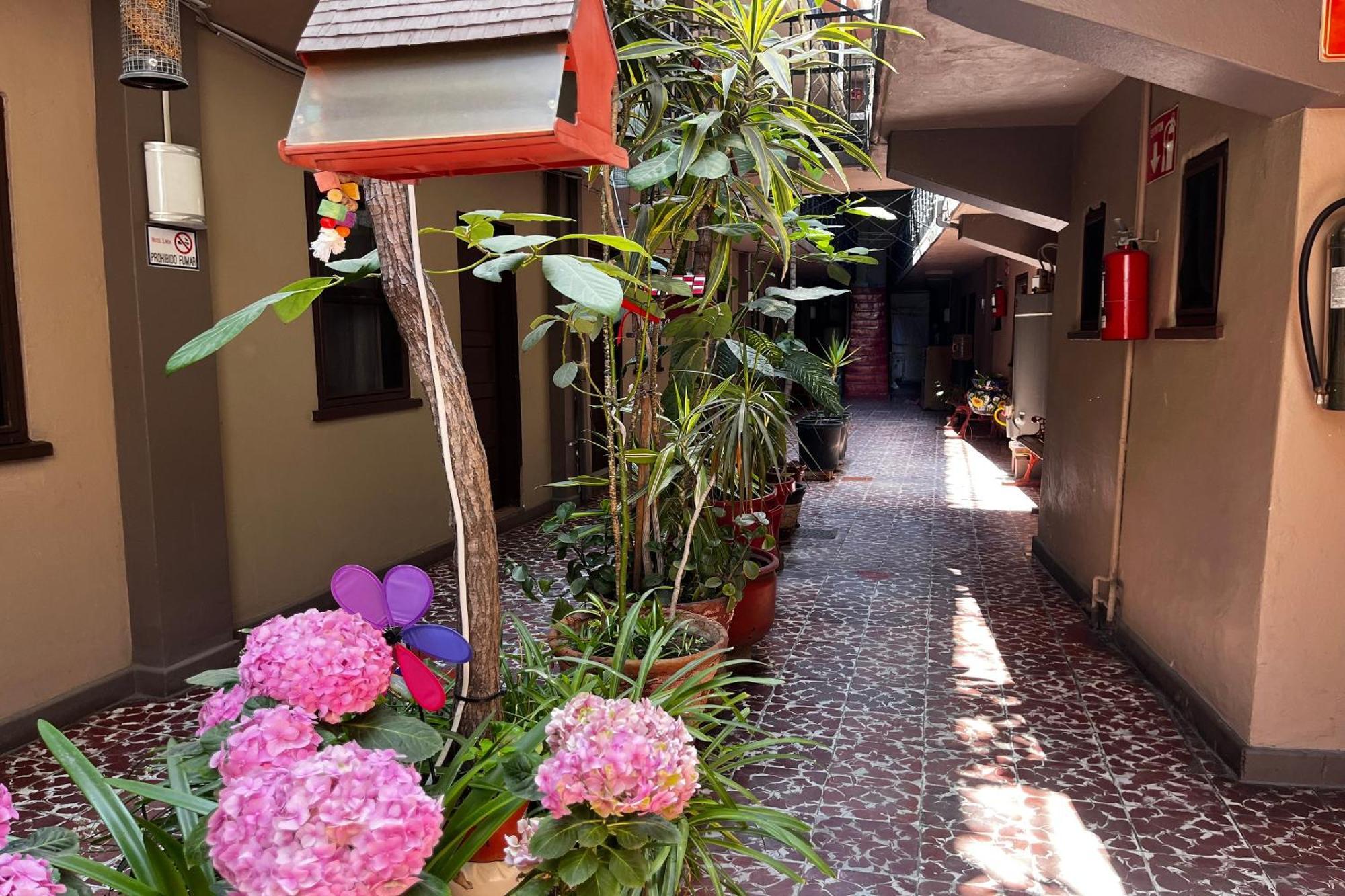 Oyo Hotel Linda Tijuana Exterior foto